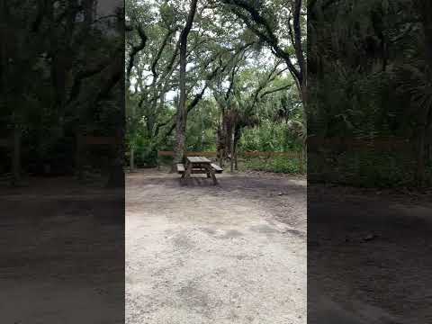 Video of Anastasia