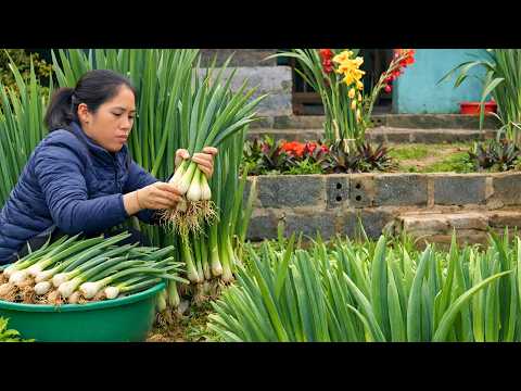 Hindu culture so goated that even pakistani girls copying it🔥pak shocked |