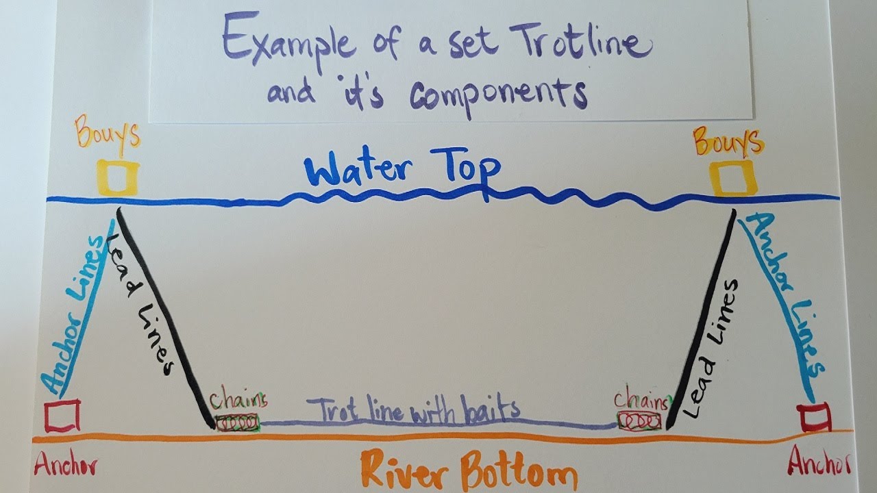 How To Make A Trotline With Snoods For Crabbing - Complete Process 