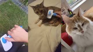 Remove Pet Hair in Seconds! 🐶🐱 Must-Have Grooming Tool