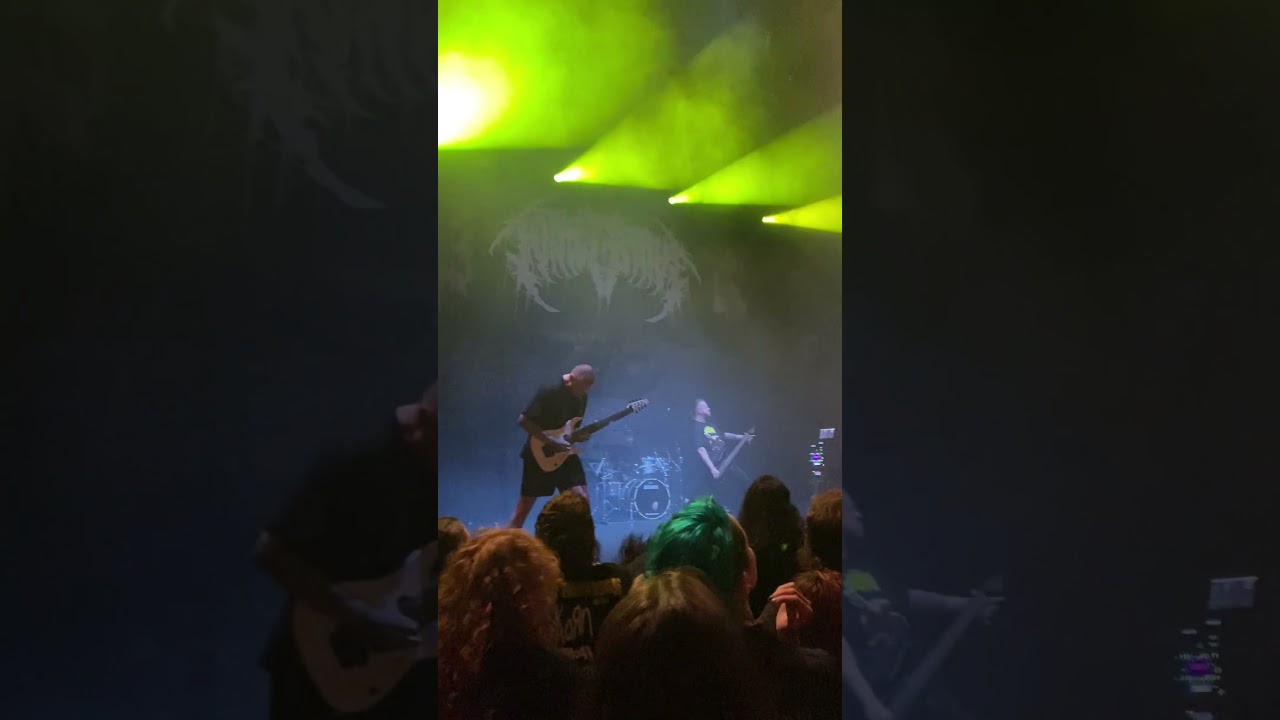 To The Grave - Dead Wrong live Sydney 2025