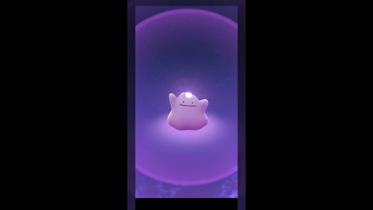Pokemon Go Gameplay: Chikorita Community Day | Celebi | MewTwo Raid Boss | Leveling Up?