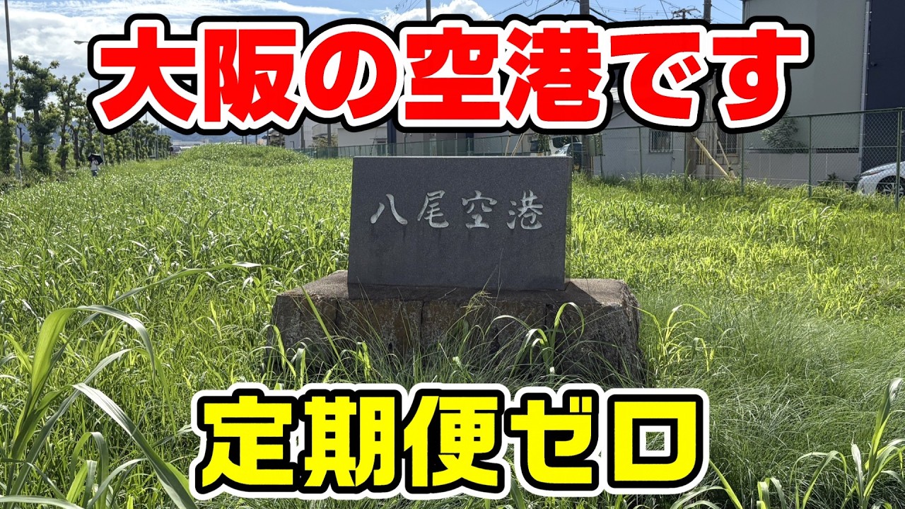 【定期便ゼロ】八尾南駅から八尾空港への徒歩ルート
