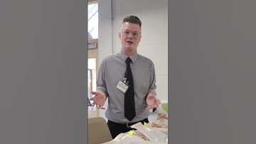 Use Your Vote - How are votes counted