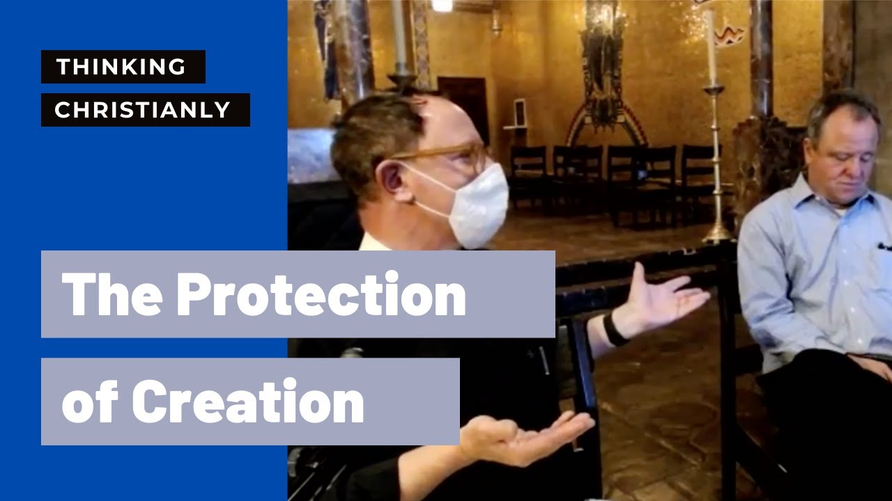 The Protection of Creation | St. John's Cathedral