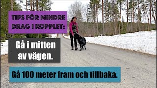 Tips för  mindre drag i kopplet