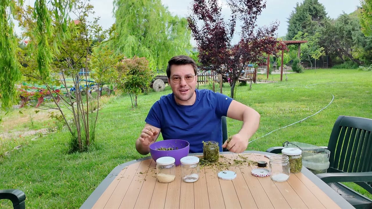 Hatalı Silaj Hayvanlara Verilir Mi? Sıkışmayan Silaj Isınır Mı? / 5 Farklı Katkıyla Deneme Yaptık