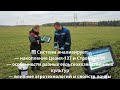 ☢️🌾 В Беларуси разработали приложение для прогноза радиоактивного загрязнения сельхозпродукции