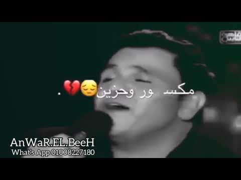 حالات واتس اب صدى صوت رومانسي جدا اغنيه محمد فؤاد 