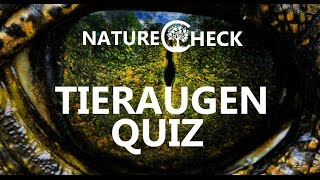 Tieraugen Quiz - Welchem Tier gehören diese Augen? screenshot 3