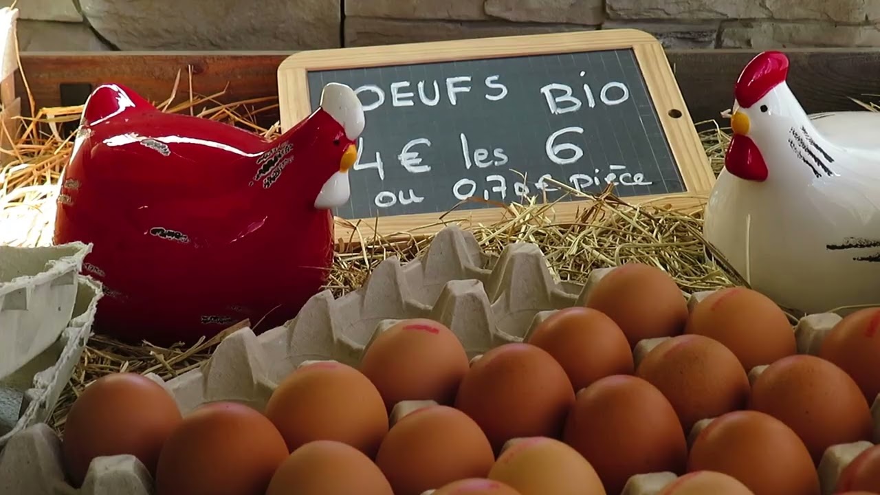 Vidéo Ma Crémerie d'Aleria