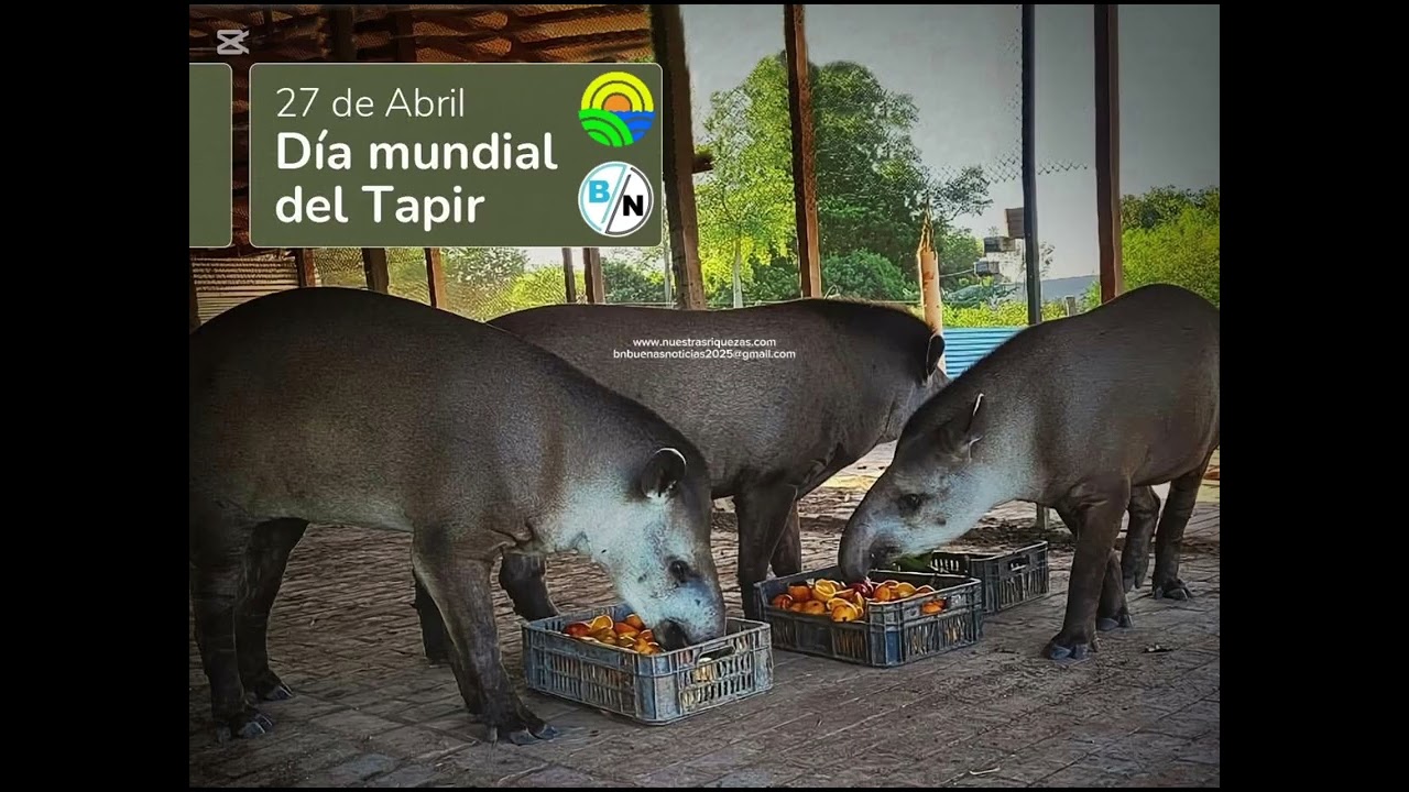 - El Día Mundial del Tapir se celebra el 27 de abril.  - El Día del Código Morse.