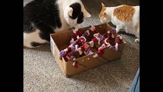 A little DIY cat toy