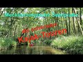 #1/3: Die schönsten Kajak-Touren der Mecklenburgischen Seenplatte