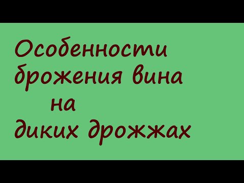 Брожение вина на диких дрожжах. Особенности процесса