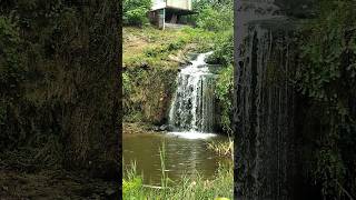 DISCOVER Hamirpur's Hidden Gem Waterfall! #localattractions #smallwaterfall #hiddengems #hamirpur