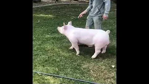 Get in line