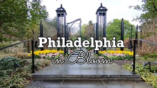 Spring in Philadelphia What to Visit in Philadelphia