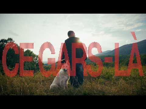 Aswell - Ce gars-là (Visualizer Officiel)