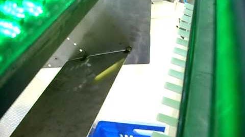 Olive Colour Sorting Machine - (www.selectionmachines.com)