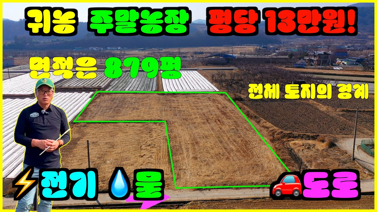 No.586 : 사자마자 다음날 바로 씨 뿌릴 수 있는 땅 청도 879평 평당13만원 | 귀농·주말농장 강추👍#청도부동산 #청도토지급매 #청도토지