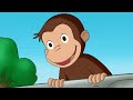 Georges le petit singe  un singe trop aventureux  dessins anims