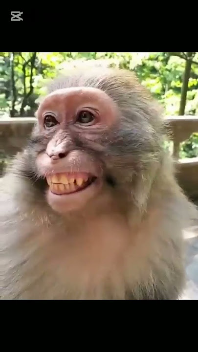 TDA funnyvideo😁😂🤣