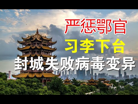 宝胜政论：习近平春节团拜会不提肺炎、湖北政坛罪责难逃、病毒失控且已变异