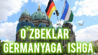 Germaniya o‘zbekistonliklar uchun 50 ming bo‘sh ish o‘rni taklif qilmoqda