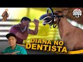 Égua Diana no Dentista