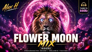 Alex H - Ada (Flower Moon Mix) 🌸🌕 221.23Hz Venus Progressive House / Melodic Techno 2026