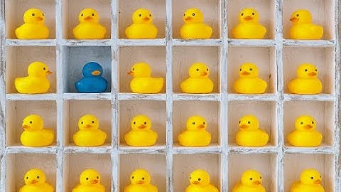 Custom VS Off-The-Shelf Solutions - Sage Advice: Episode 30