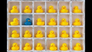 Custom VS Off-The-Shelf Solutions - Sage Advice: Episode 30