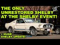 200 Shelby Mustangs &amp; Cobras! + UPDATES ARE BACK!