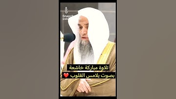 الشيخ فيصل غزاوي / سورة القارعة