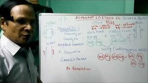 XII Bio   Botany  Chapter  2 Classical Genetics   Part  III Intergenic interactions and Dominant epi