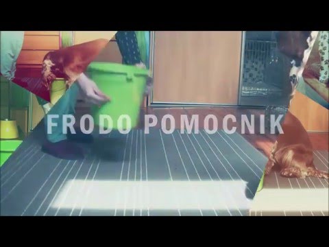 Frodo Pomocnik