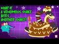 Understanding Snake Venom and Immunity