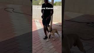 Two Generations Of Yeller Dawgs