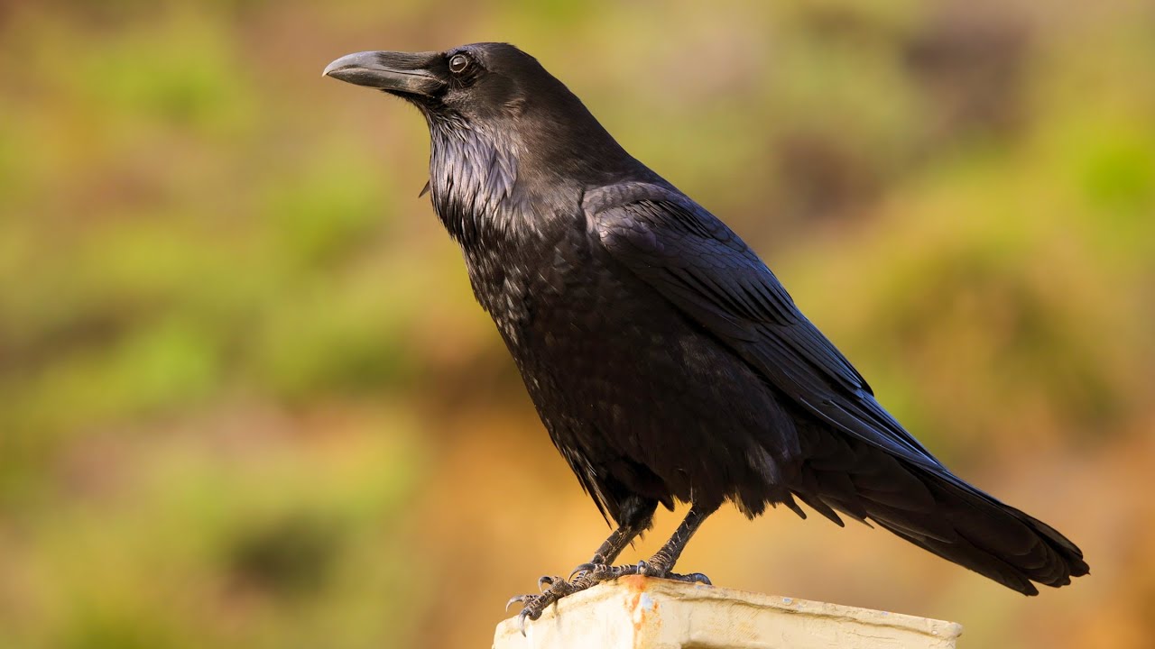 Best of the week January 4th, 2026