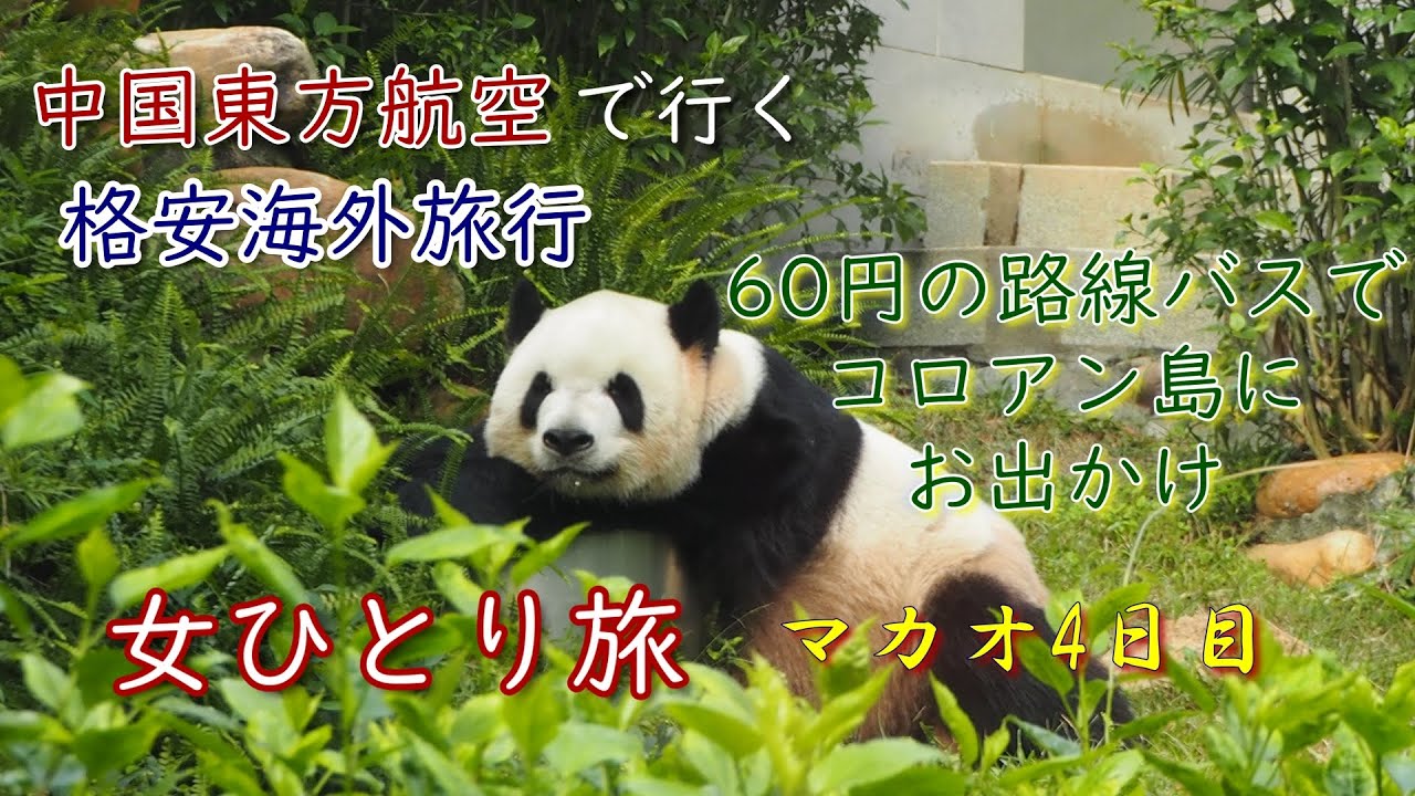 【女ひとり旅】マカオ　コロアン島をのんびりお散歩【海外旅行Vlog】