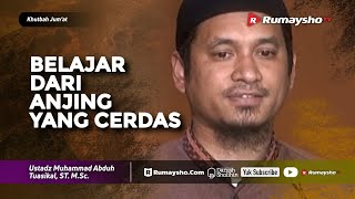 Khutbah Jum'at : Belajar dari Anjing Cerdas - Ustadz M Abduh Tuasikal