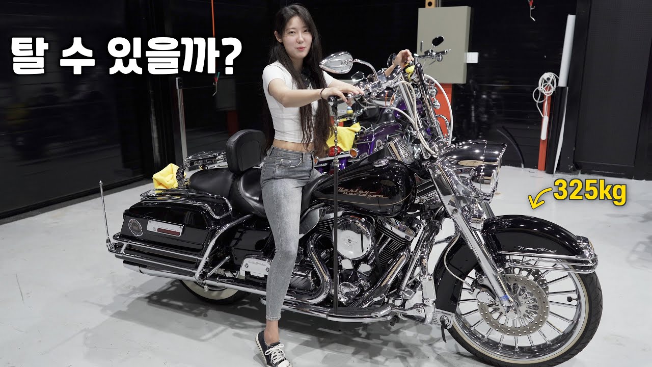 초보 라이더의 선택은?