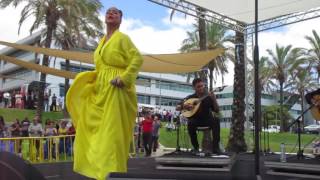 Video thumbnail of "Marcha de Alfama Raquel Tavares 10"