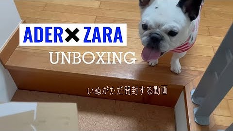 JPN/KOR【UNBOXING Vlog】ADERERROR X ZARA Collaboration 【フレンチブルドッグのこごみ】