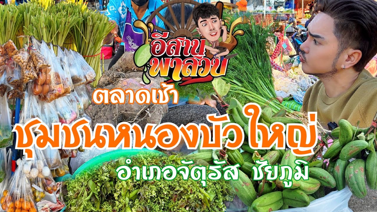 อีสานพาเลาะ ตลาดชุมชนหนองบัวใหญ่ อำเภอจัตุรัสจังหวัดชัยภูมิ