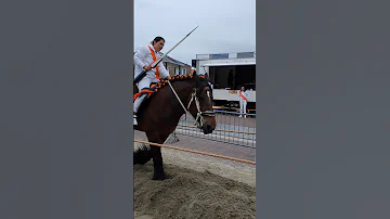 ?? Ringrijden Koudekerke ????  Nederland @TravelwithHugoF  #ringrijden #horses #koudekerke #netherlands