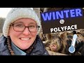 Visiting Joel Salatin's Polyface Farm in Winter 2021
