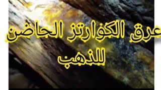 تعرف على عرق المرو(الكوارتز) الحقيقي الحاضن للذهب بنسبه عاليه  مضمون ميه بالميه