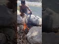 #villagelife #fishing #fishinglife #fishingvideo #fishingtips